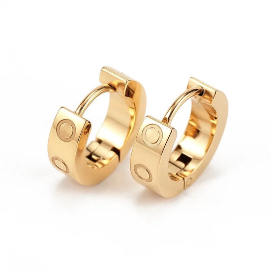 Gold Stainless Steel Hook Earrings